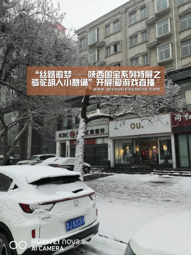 “丝路追梦——陕西国宝系列特展之骑驼胡人小憩俑”开展|爱游戏直播(图1) 爱游戏娱乐