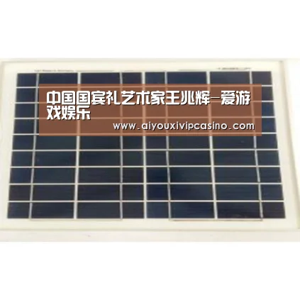 中国国宾礼艺术家王兆辉-爱游戏娱乐(图1) 爱游戏官网