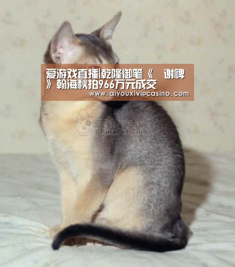 爱游戏直播|乾隆御笔《誌谢碑》翰海秋拍966万元成交(图1) 爱游戏娱乐